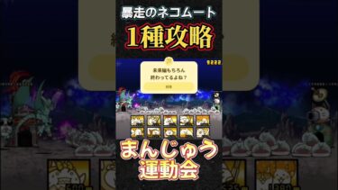 ネコゼリーまんじゅうの運動会開催！w#にゃんこ大戦争 #ネコムート #ゲーム実況 #youtubeshorts #youtube #shorts