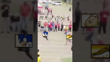 にゃんこ最速(シャドウも) #にゃんこ#にゃんこ大戦争