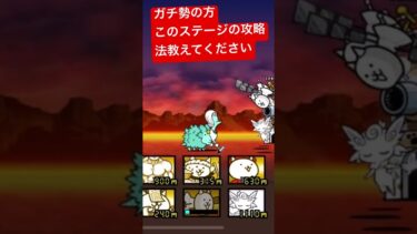 ほんとにお願いします　　　　　　　　#にゃんこ大戦争 #にゃんこ大戦争攻略 #にゃんこ大戦争初心者 #にゃんこ大戦争最強キャラクター #にゃんこ #ゲーム実況