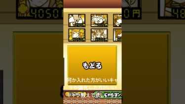 にゃんこ大戦争初心者ですアドバイスお願いします