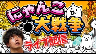 【まったりにゃんこ♯1】にゃんこ大戦争、初ライブ配信(^^)/