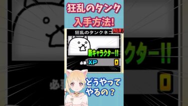 【1分で分かる】狂乱のタンクに必ず勝つ方法！【初心者】【にゃんこ大戦争】