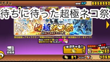 超極ネコ祭117連ガシャ【にゃんこ大戦争初心者日記1日目】