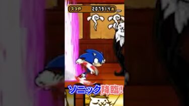 【ソニックコラボ】上位６%‼ ネコ道場に挑戦‼【にゃんこ大戦争】【生配信819の切抜き】【無課金です】 #ゲーム実況