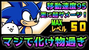 移動速度95＆超ダメージ！ ソニックがガチで化け物過ぎるw  性能紹介　にゃんこ大戦争
