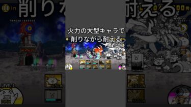 狂乱のもねこゲット！狂乱のもねこ攻略