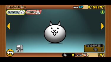 にゃんこ大戦争初実況！（緊急で撮影してた）
