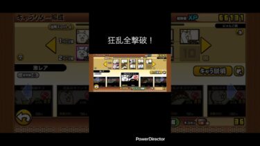 狂乱全撃破！ #youtubeshort #youtubeshorts #shorts #short #にゃんこ大戦争 #にゃんこ #にゃんこ大戦争初心者 #狂乱