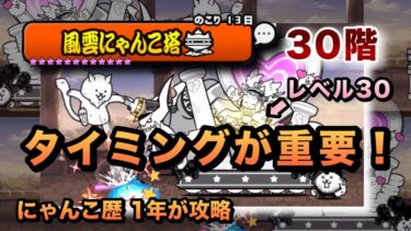【風雲にゃんこ塔30階】波動無効キャラなら勝てる！こねこレベル30で攻略してみた［にゃんこ大戦争］