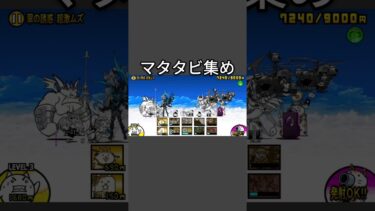 にゃんまを第三に！