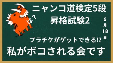 ニャンコどう検定　5段　昇格試験2 プラチケがもらえるぞい