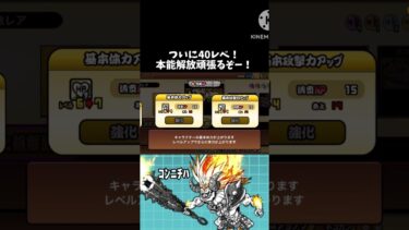 にゃんま40レベ！ #にゃんこ大戦争 #にゃんこ大戦争初心者 #にゃんこ大戦争初心者 #にゃんま
