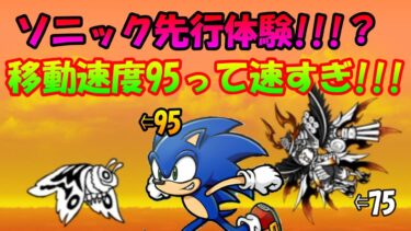 ソニックの移動速度を先行体験したら早すぎた!!【にゃんこ大戦争】＃にゃんこ大戦争＃最強＃ソニック＃コラボ＃ソニックコラボ＃最速