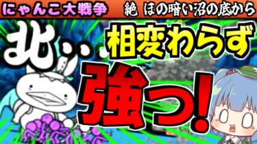 【にゃんこ大戦争】絶 ほの暗い沼の底から 長年放置して攻略挑戦したが かわわっぱJr 12周年 なっても 強すぎた #水辺環凶保全運動【ゆっくり実況】