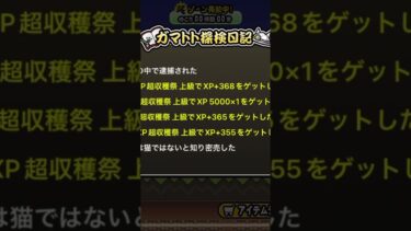 がまとと読むと面白い #にゃんこ大戦争 #にゃんこ #にゃんこ大戦争初心者 #にゃんこ大戦争がまとと