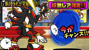 ソニックコラボ超激レア確定中！そしてコラボ全ステージもこれで終わりだ！　【にゃんこ大戦争】
