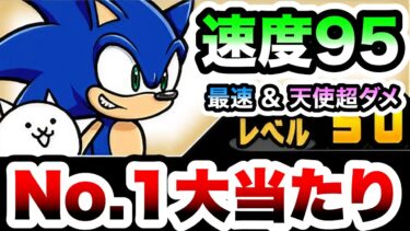 ソニック　性能紹介　全キャラ中1位のぶっ壊れ速度がヤバすぎる！　にゃんこ大戦争