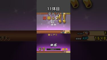 【パート3】超極ネコ祭ついにあのキャラが出た！