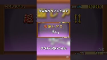 ビックバンクリアしたからプラチケ引いてみた！ #にゃんこ大戦争 #battlecats #shorts #はじまりの曲 #プラチナチケット