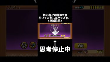 初心者が超超超神引き？！？！？！#ガチャ#にゃんこ大戦争 #ガチャ神引き #神引き#超極ネコ祭#鬼にゃんま#にゃんま#イザナギ#曉のイザナギ