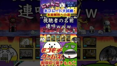 【にゃんこ大戦争】#４３４　ネコムート大試練！本能解放への道簡単攻略！YouTube&TikTok同時配信してるよー【ソシャゲ配信】＃shorts