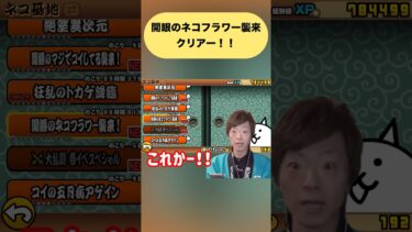 【にゃんこ大戦争】開眼のネコフラワークリアー！！【ヒカマニ】#にゃんこ大戦争 #ヒカマニ