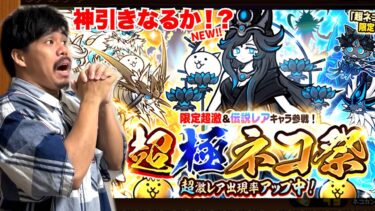 【にゃんこ大戦争】超極ネコ祭ガチャを引きまくったらめちゃくちゃレアキャラが出まくった！？