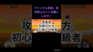 西表島初心者と中級者攻略の違い#にゃんこ大戦争