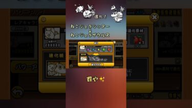 にゃんこ初心者がキャラの進化をしてゆく〜#にゃんこ大戦争#初心者