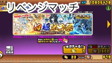 超極ネコ祭リベンジ23連【にゃんこ大戦争初心者日記2日目】