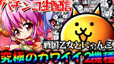 【新台】戦国乙女6とにゃんこで最強にカワイイW実践！【P にゃんこ大戦争 多様性のネコ】パチスロパチンコライブ