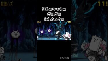 にゃんこ大戦争初心者が限定キャラ（多分最強キャラ）で狂乱ごり押す