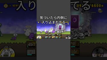 狂乱のもねこ攻略！