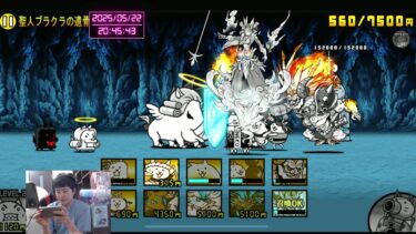 #36【にゃんち大戦争】【配信】【5/22】19時から逆カバ周回します‼️イディを求めて三千里‼️旧レジェ冠👑2.3.4進めたい！！ UR16500〜