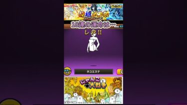 ［にゃんこ大戦争］運命の10連…結果は…