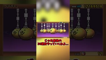 【にゃんこ大戦争】みんな…ごめん…　 #にゃんこ大戦争　#shorts  #ゆっくり実況