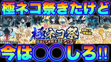 極ネコ祭ガチャきたけど今は間違いなく◯◯したほうがいい！　#にゃんこ大戦争　#battlecats