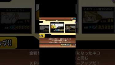 多分まだ初心者です！#にゃんこ大戦争し #宝鐘マリン #ホロライブ
