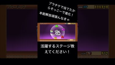 始めたばかりの初心者です(保険) #にゃんこ大戦争  #にゃんま大戦争 #ばずれ