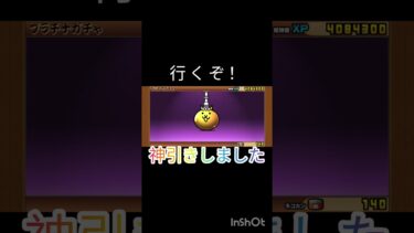 にゃんこ大戦争初心者、神引きしました。#にゃんこ大戦争 #神引き#かっこいい #最強キャラ