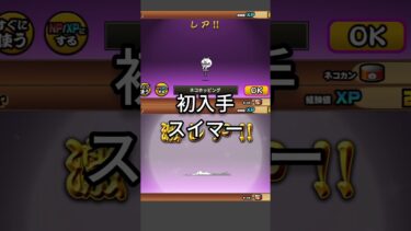 【パート1】超極ネコ祭たくさん引くよ