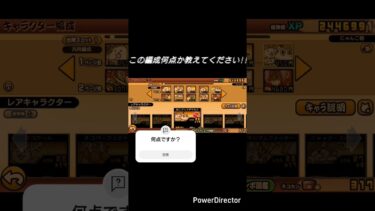 よければ僕の汎用編成の点数を教えてください!!　#汎用編成#教えて#にゃんこ大戦争#初心者