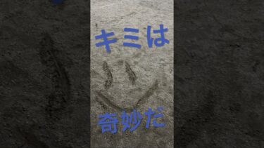 #anime #にゃんこ大戦争 #微課金攻略 #アニソン #イラスト #ガチャ神引き #アニメ #スプラトゥーン3 #ゲーム実況 #ハイキュー