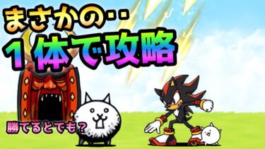 狂乱のネコ  まさかのシャドウ１体で攻略  にゃんこ大戦争