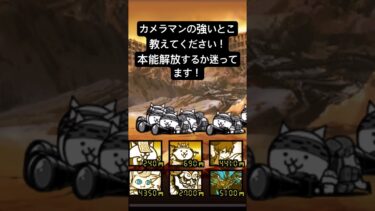 カメラマンの強いとこ教えてください！ #にゃんこ大戦争 #にゃんこ大戦争初心者 #カメラマン # #おすすめにのりたい