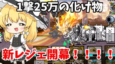 新レジェブンブンをにゃんまでボコボコにする！！！超雑編集
