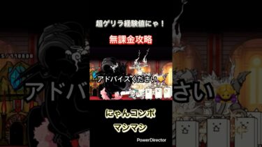 にゃんコンボで超ゲリラ経験値にゃ！を無課金攻略してみた！ #にゃんこ大戦争 #初心者 #無課金攻略 #ショート