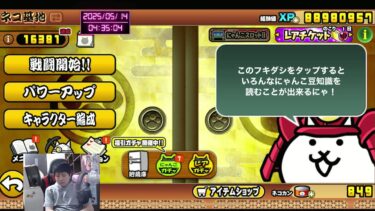 #31【にゃんち大戦争】【配信】【5/14】イディを求めて三千里‼️旧レジェ冠👑2.3.4進めたい！！ UR16381〜