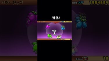 スーパーハッカーに進化！#にゃんこ大戦争 #にゃんこ#初心者