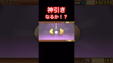 【にゃんこ大戦争】ガチャで神引きなるか！？#にゃんこ大戦争#ラキGame#配信#視聴者#参加型#VIP#shors#ガチャ#10連#伝説レア#ロクデナシ宇宙#ガードマン